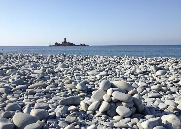 Zen * Fréjus