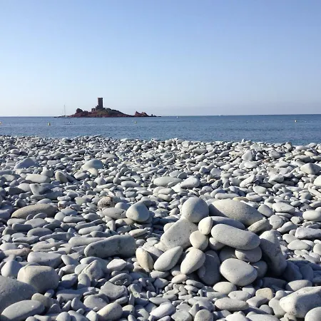 Zen * Frejus